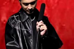 JackeyLove重返赛场，爆冷首场状态出色，澳大利亚队观众沸腾！观众掌声雷动的简单介绍